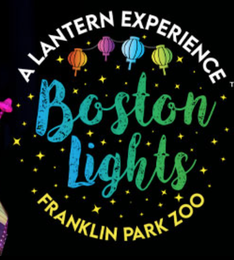 Screenshot 2025-08-20 at 11.14